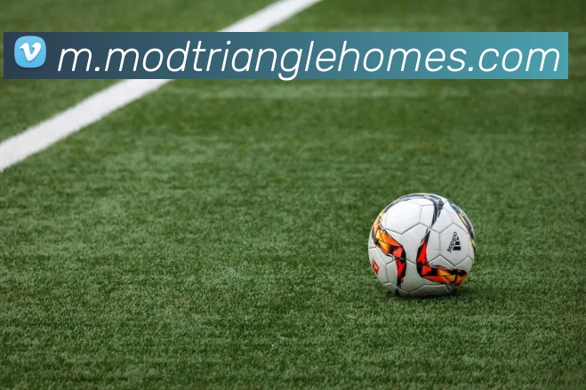 互动解说服务